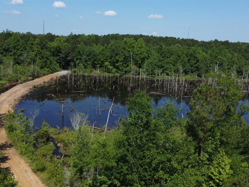 Rowland Tract : Lumberton : Robeson County : North Carolina