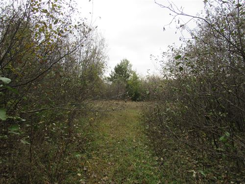 Dunham Rd : Marenisco : Gogebic County : Michigan