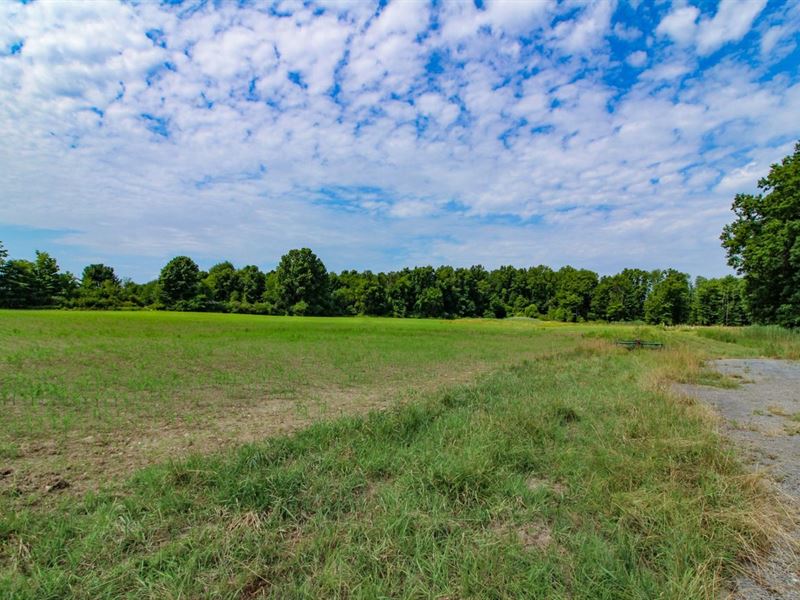 Sodum Hutchings Rd, 208 Acres, Tr : Vienna : Trumbull County : Ohio