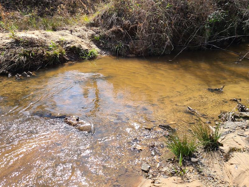 Bush Tract : Eufaula : Barbour County : Alabama