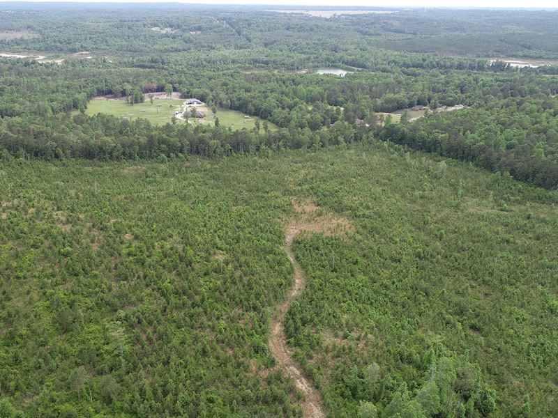 Pine Flat Tract : Pine Flat : Autauga County : Alabama