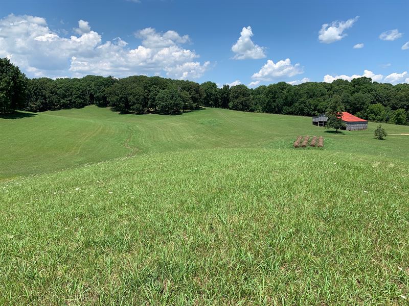 Giles County Farm : Lynnville : Giles County : Tennessee