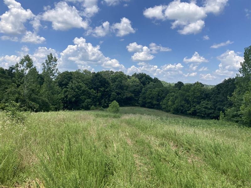 Land for Sale Kentucky 115 Acres : Caneyville : Grayson County : Kentucky
