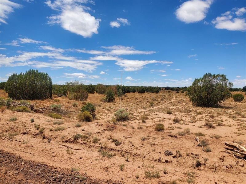 South Rim Ranch in Williams, AZ : Williams : Coconino County : Arizona