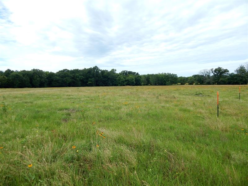 5 Acre Residential Lot, Bogata, TX : Bogata : Red River County : Texas
