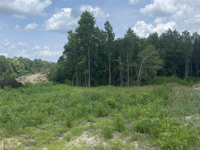 Two Belles CT Tract Farm for Sale in Angier, Johnston County, North