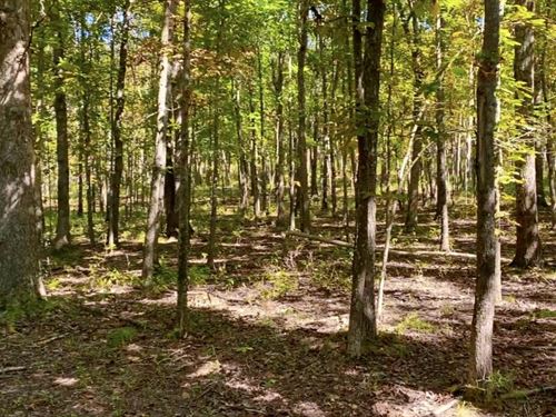 Huge Rec Land in The Ozarks : Seymour : Webster County : Missouri