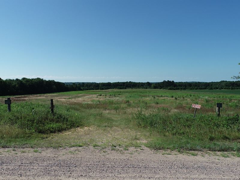 60 Acres, Jackson County : Osseo : Jackson County : Wisconsin