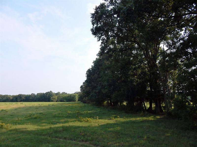Residential Lots, Bogata, TX : Bogata : Red River County : Texas