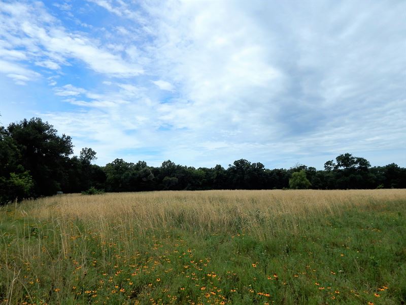 Homesite Lots for Sale, Bogata, TX : Bogata : Red River County : Texas