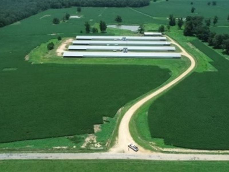12 House Poultry Farm, Farm for Sale in Mississippi, 327655 FARMFLIP