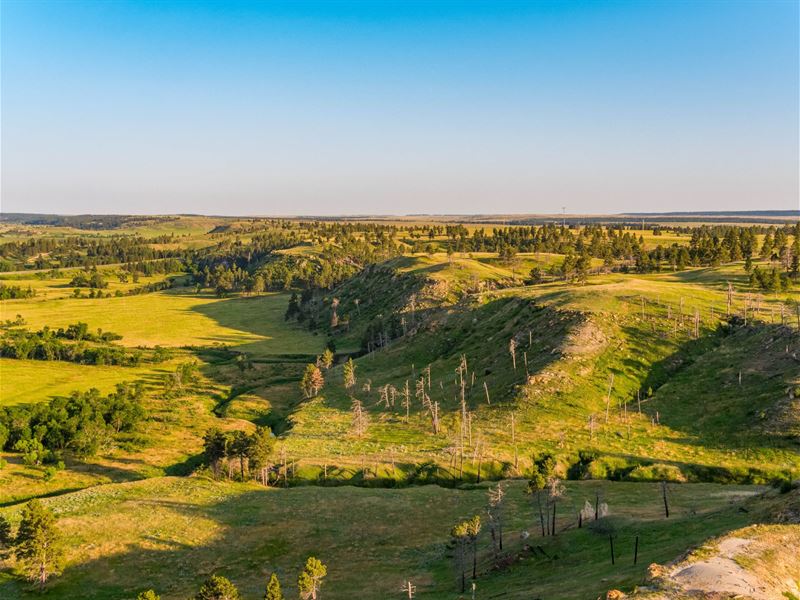 Tower View Ranch : Moorcroft : Crook County : Wyoming