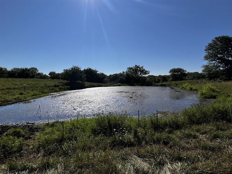 35 Acres in Johnson County : Leeton : Johnson County : Missouri