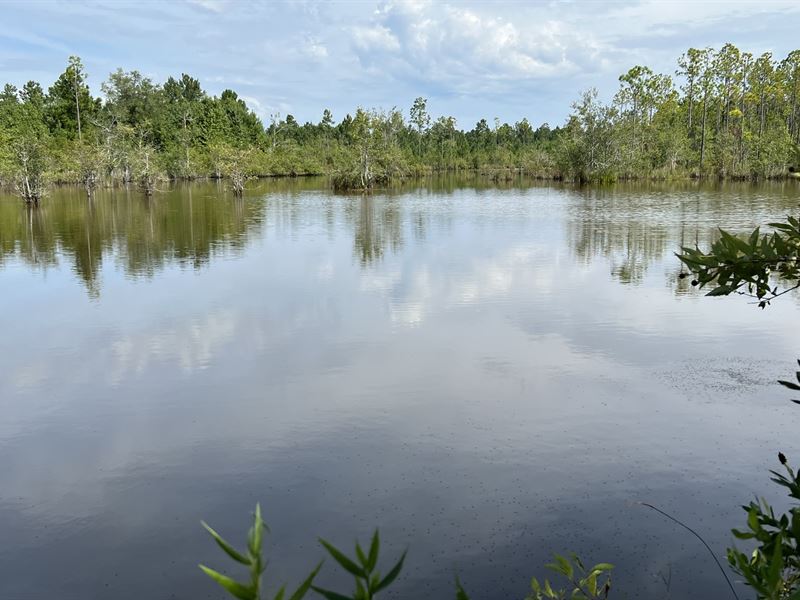 Investment Tract Near The GA Coast : Brunswick : Glynn County : Georgia