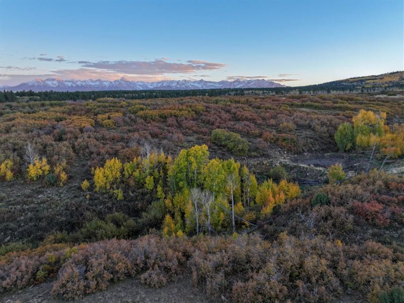 Ponderosa Ridge Ranch : Montrose : Ouray County : Colorado