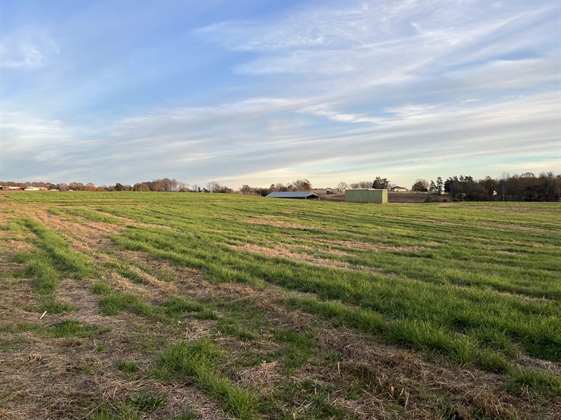 Townville Farm, Farm for Sale in South Carolina, 328117 FARMFLIP