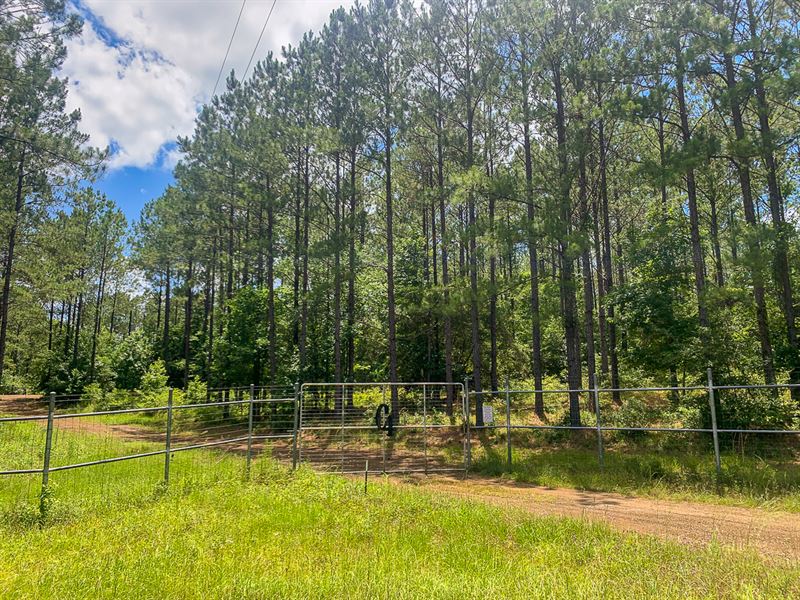 400 Acres, C4 High Fence Ranch : Burkeville : Newton County : Texas