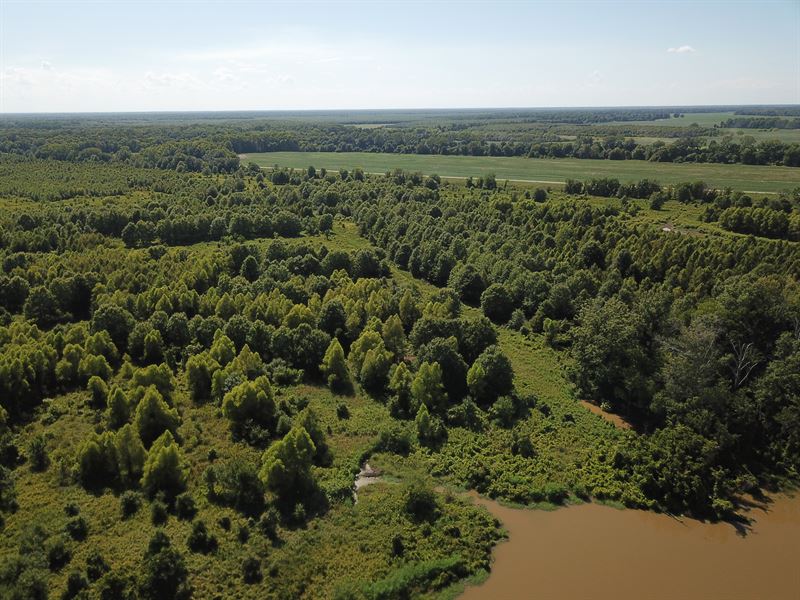 Fowler Plantation, Tract B, 460 ac : Vicksburg : Warren County : Mississippi