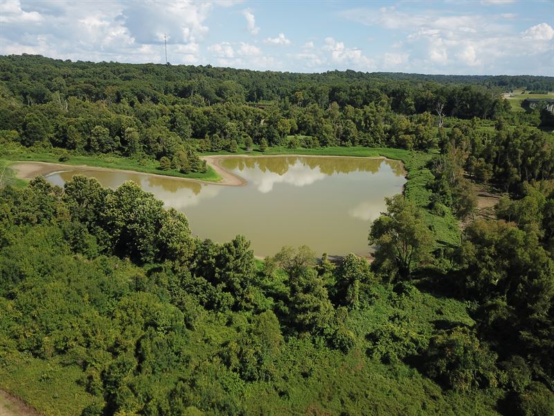 Fowler Plantation, Tract C, 65 ac : Vicksburg : Warren County : Mississippi