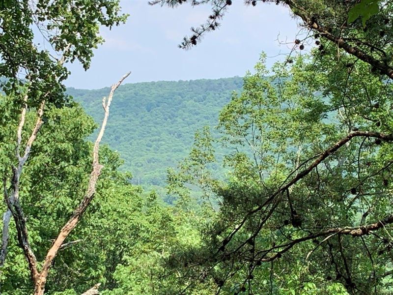 Beautiful Mountain Views : Summerville : Chattooga County : Georgia