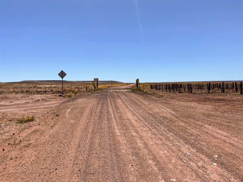 Rare County Maintained Access Lot 1 : Joseph City : Navajo County : Arizona