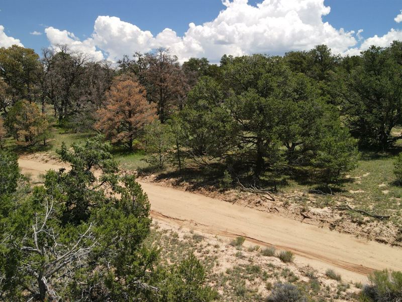 6.61 Acres, Platted Lot and No Hoa : Candy Kitchen : Cibola County : New Mexico
