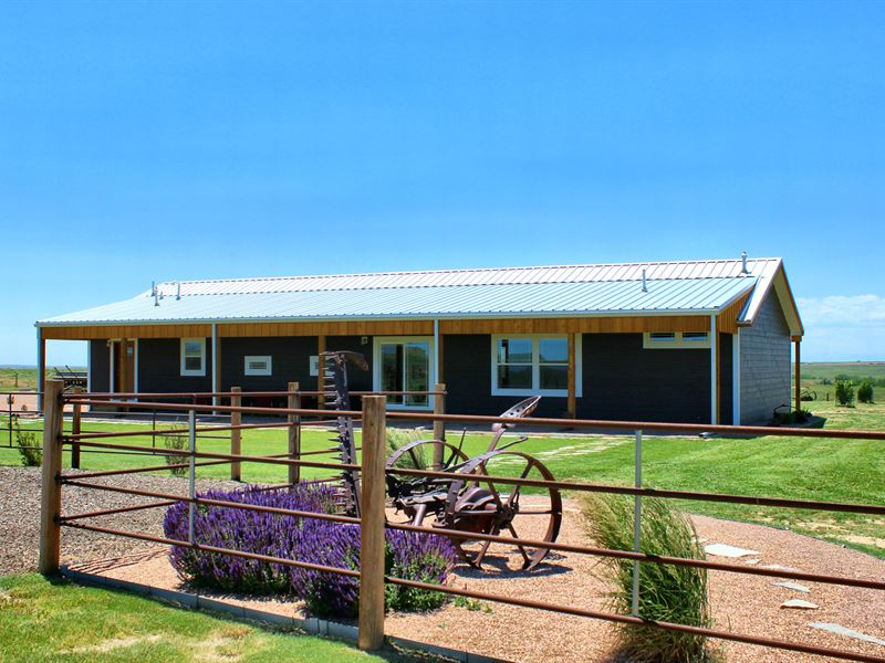 Exceptional Horse Ranch, Farm for Sale by Owner in Colorado, 328354