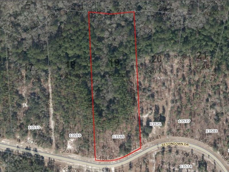 Lot 19, Deep Creek Plantation : Bryceville : Nassau County : Florida