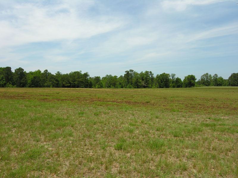 Reduced 29 Acres Pasture, Woodland : Waynesboro : Burke County : Georgia