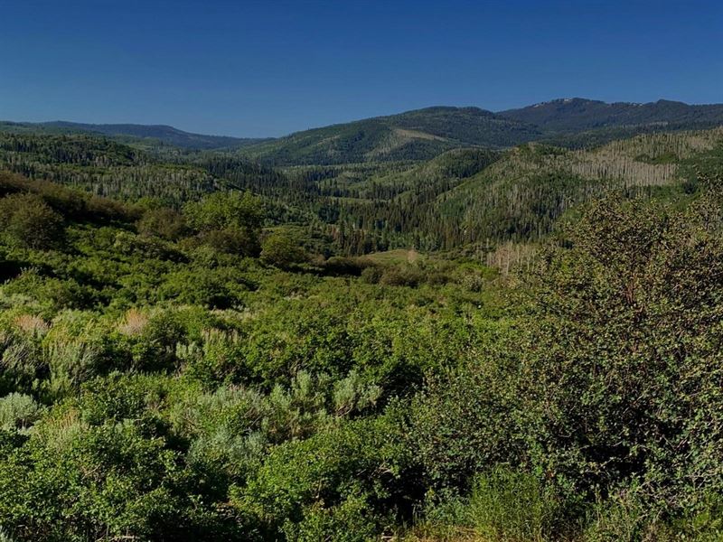 East Divide Ranch : Silt : Garfield County : Colorado