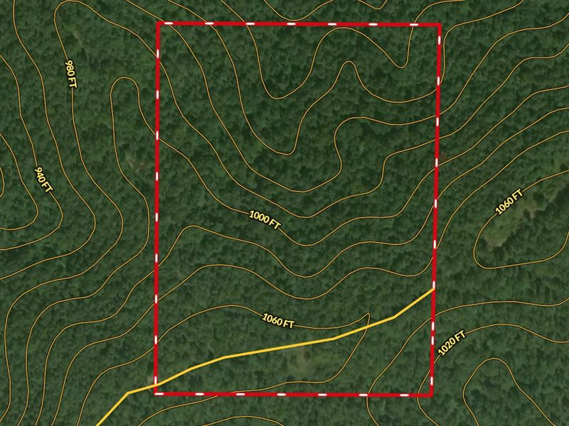Land for Sale, Hunting, Private : Eminence : Shannon County : Missouri