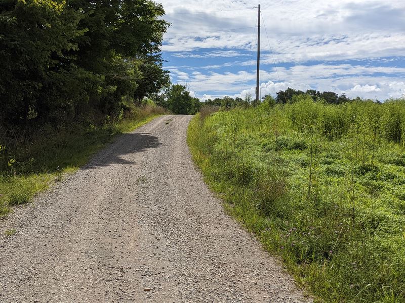 Gallia County Hunting Land for Sale, Farm for Sale in Ohio, 328499