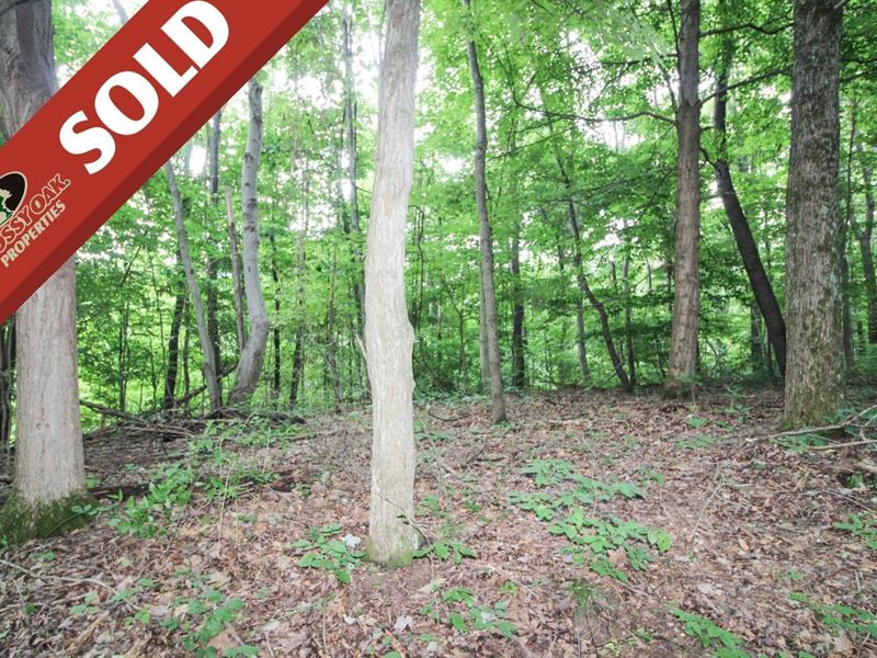Deitrick Hill Rd, 20 Acres, Muski : Philo : Muskingum County : Ohio