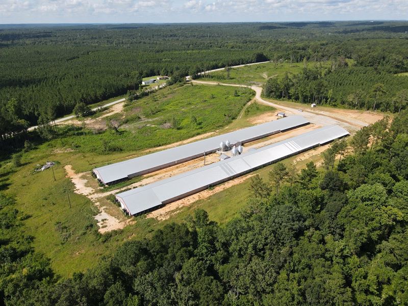 Hanyotee Broiler Farm : Skipperville : Dale County : Alabama