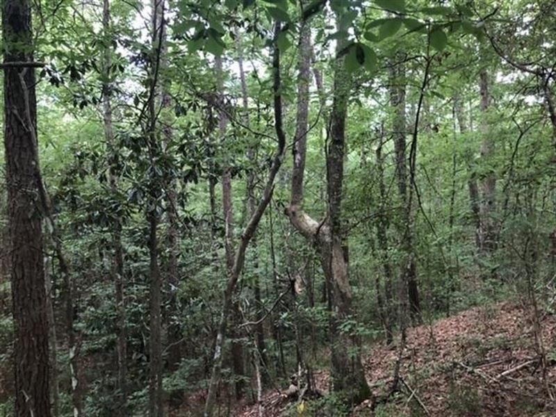 35.50 Acres in Simpson County, Miss : Georgetown : Simpson County : Mississippi