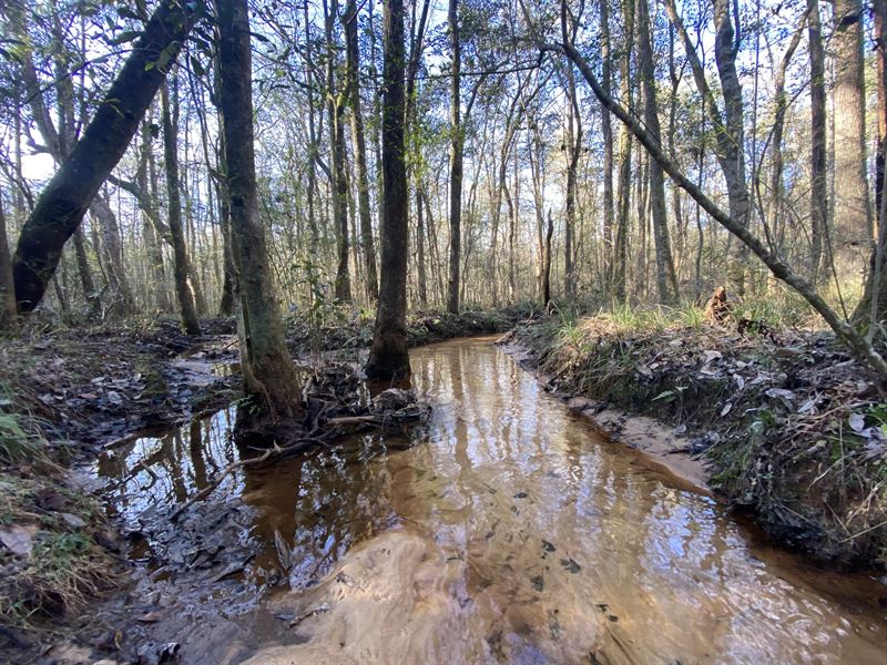 Damascus Farm, 71 Ac : Elba : Coffee County : Alabama