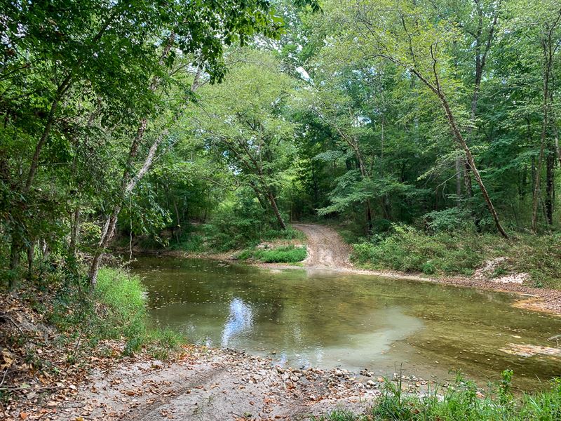 388 Acres, Walker North : Huntsville : Walker County : Texas