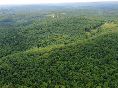 Instant Owner Financed Land in MO : Ava : Douglas County : Missouri