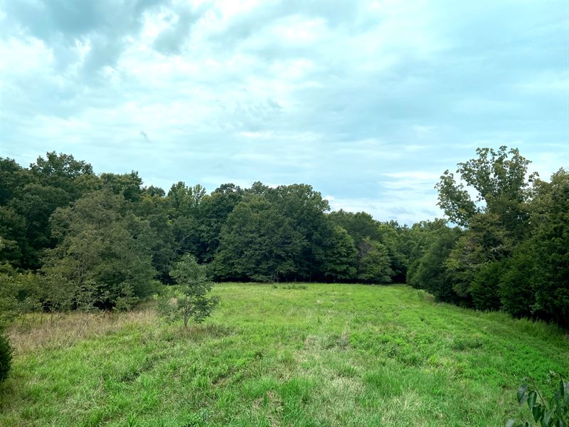 150 Acre Catfish Cove Road Tract : Waterloo : Laurens County : South Carolina