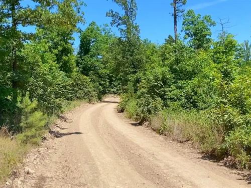 Owner Financed Land In MO : Eminence : Shannon County : Missouri