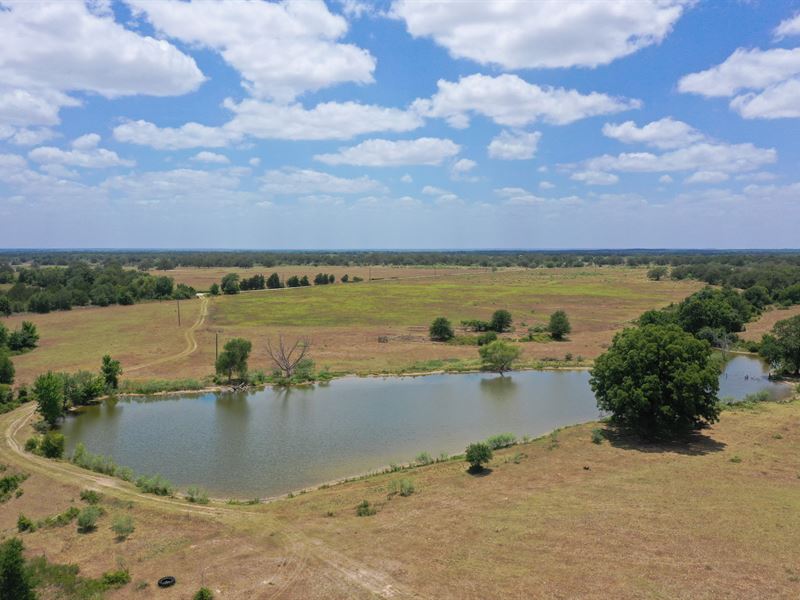 Long Prairie Ranch : Smithville : Bastrop County : Texas