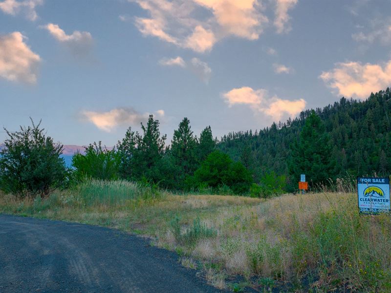 Pine Ridge, Twin River Ranch : White Bird : Idaho County : Idaho