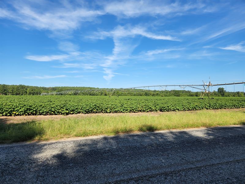 Irrigated Farm with Income : Eufaula : Barbour County : Alabama