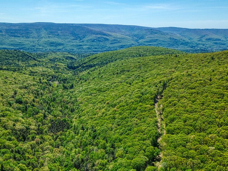 421K Sqft in Ellenville, NY, Farm for Sale by Owner in New York