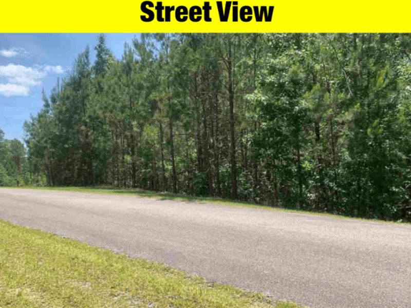 Buy a Couple Ac of Incredible Land : Sylacauga : Talladega County : Alabama