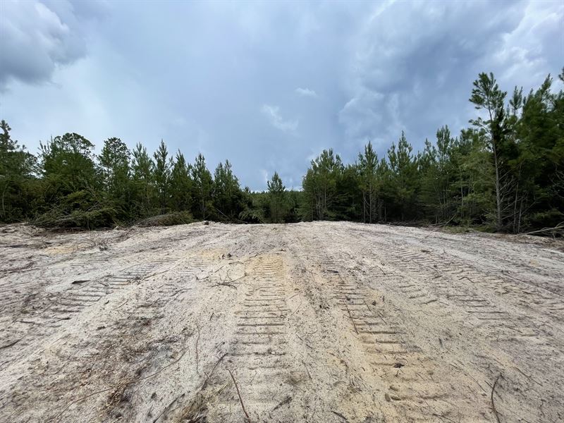 Old Indian Boundary Tract : Millry : Washington County : Alabama