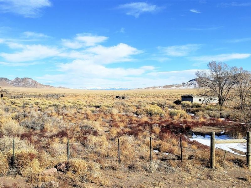 13464 County Road 21, Manassa, Co 8 : Manassa : Conejos County : Colorado