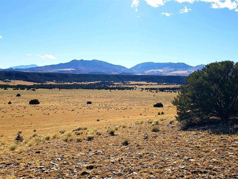 Lots 1,2 Colorado Land & Graz : Gardner : Huerfano County : Colorado