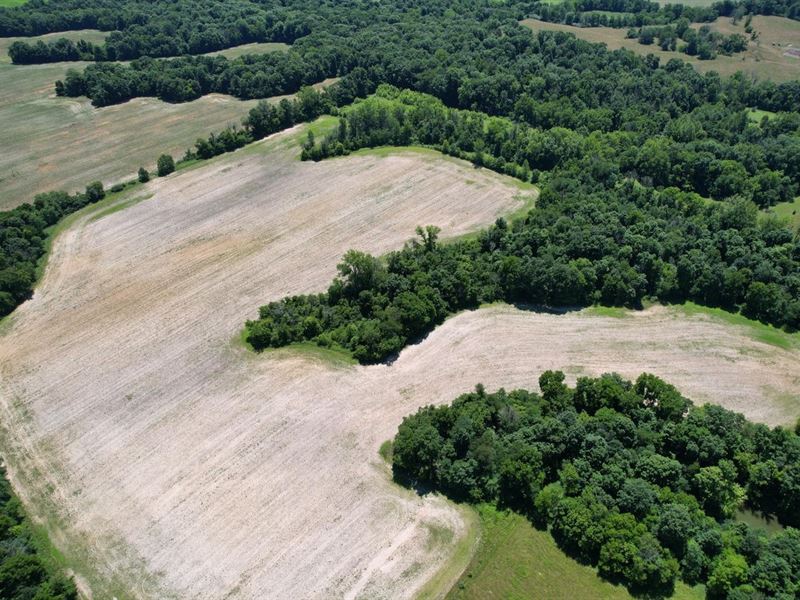Land for Sale, 66 Acres Mixed Habi, Farm for Sale in Indiana, 329418