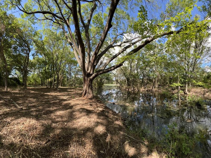 138 Acres in Johnson County, Farm for Sale in Texas, 329511 FARMFLIP